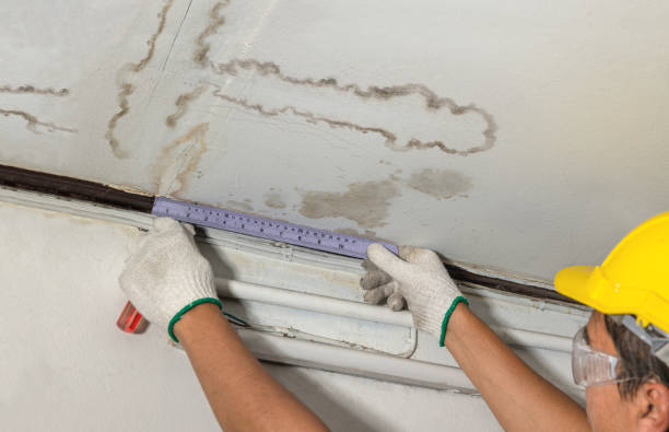 Reliable Water Damage Repair contractor in New Jersey, NJ by Hirex Water Damage